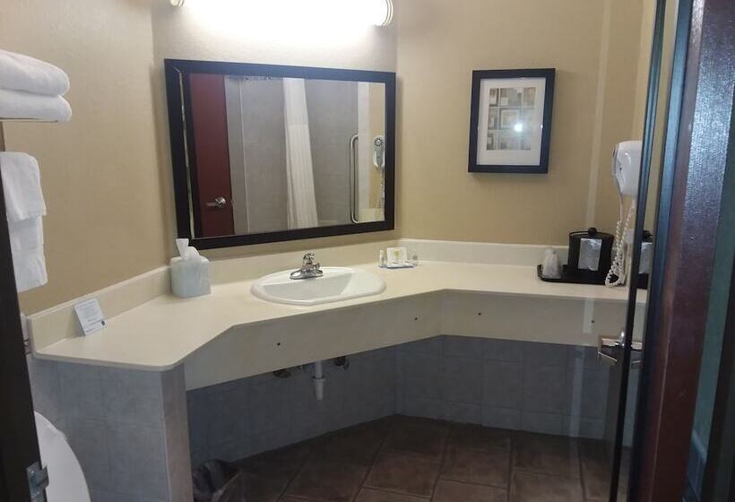 套房, Comfort Inn & Suites