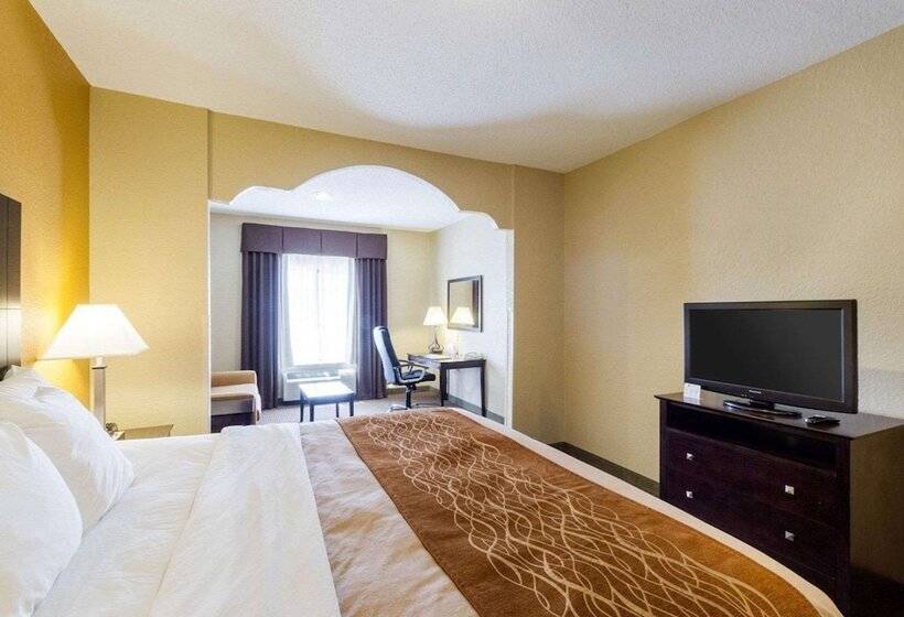 套房, Comfort Inn & Suites