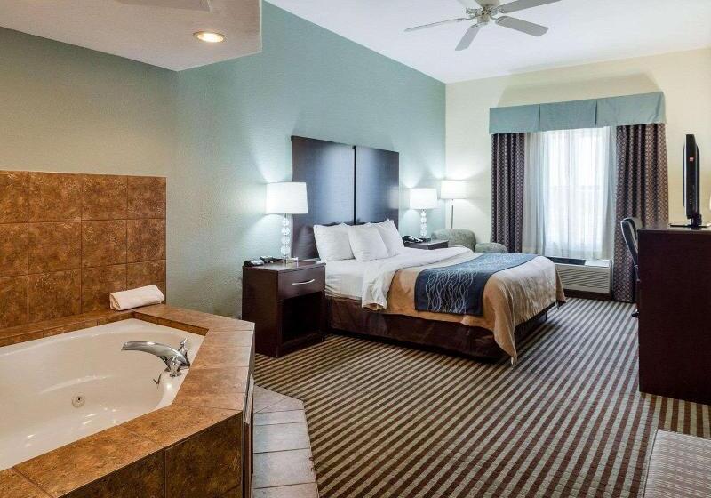 스탠다드 룸 킹사이즈 침대, Comfort Inn & Suites
