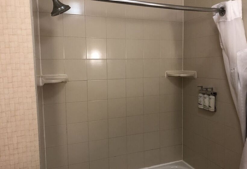 Люкс, Holiday Inn Express Hotel & Suites Lansing Dimondale, An Ihg