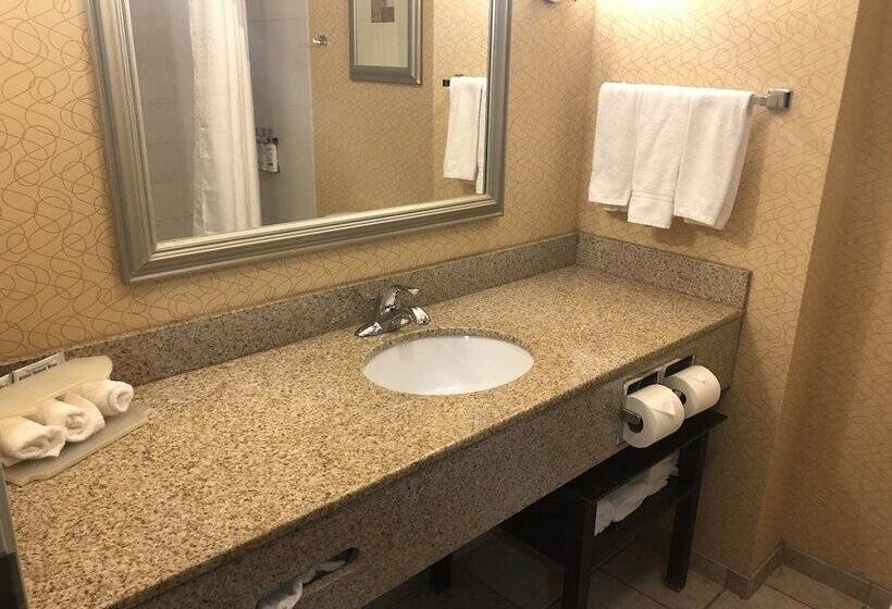 Люкс, Holiday Inn Express Hotel & Suites Lansing Dimondale, An Ihg