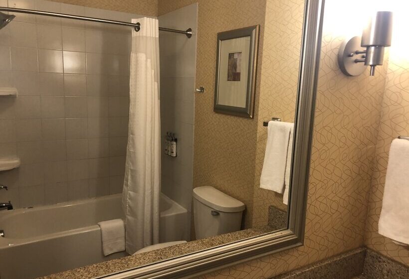Номер Стандарт, Holiday Inn Express Hotel & Suites Lansing Dimondale, An Ihg