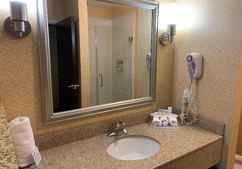 Номер Стандарт Кровать Кинг Адаптированный для Инвалидов, Holiday Inn Express Hotel & Suites Lansing Dimondale, An Ihg