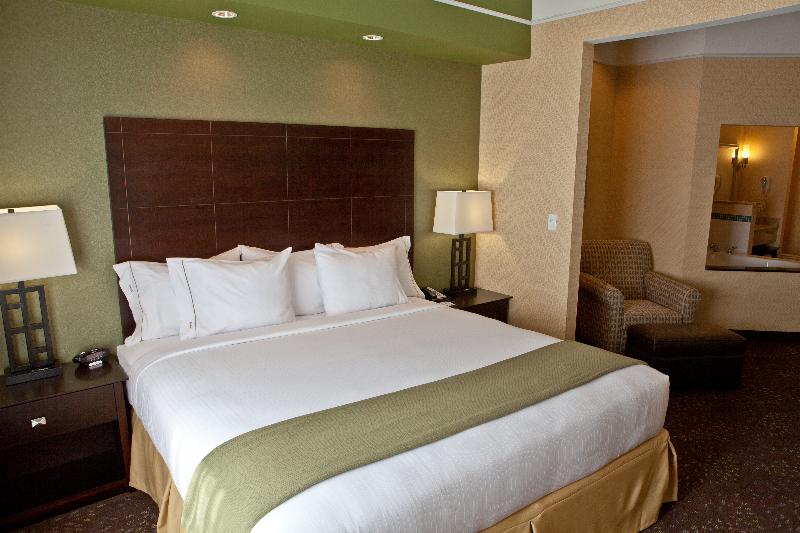 Стандартный Номер Кровать Кинг, Holiday Inn Express Hotel & Suites Lansing Dimondale, An Ihg
