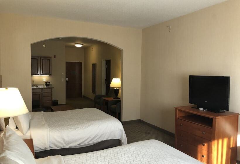 Люкс, Holiday Inn Express Hotel & Suites Lansing Dimondale, An Ihg