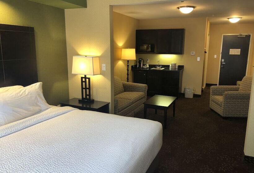 Люкс, Holiday Inn Express Hotel & Suites Lansing Dimondale, An Ihg