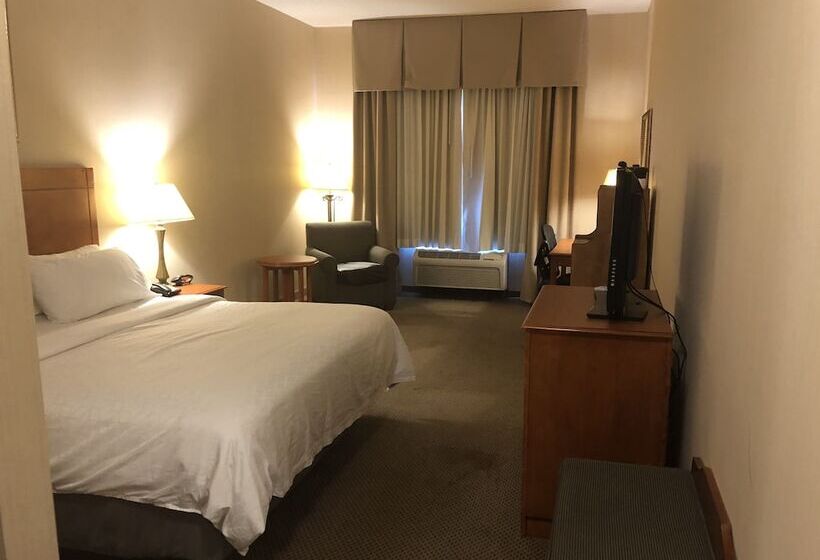 Номер Стандарт, Holiday Inn Express Hotel & Suites Lansing Dimondale, An Ihg