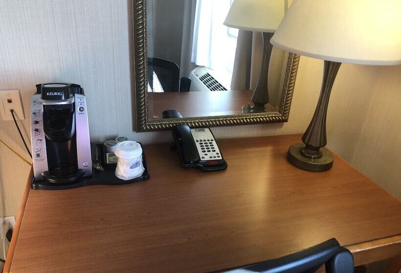 Номер Стандарт, Holiday Inn Express Hotel & Suites Lansing Dimondale, An Ihg