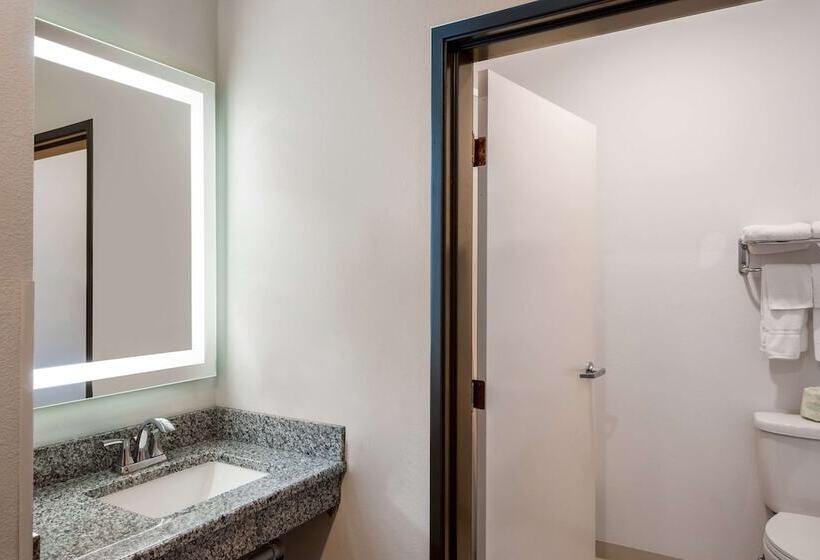 Люкс, Surestay Plus Hotel By Best Western Coralville Iowa City