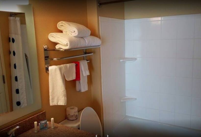Люкс, Towneplace Suites Dallas Desoto