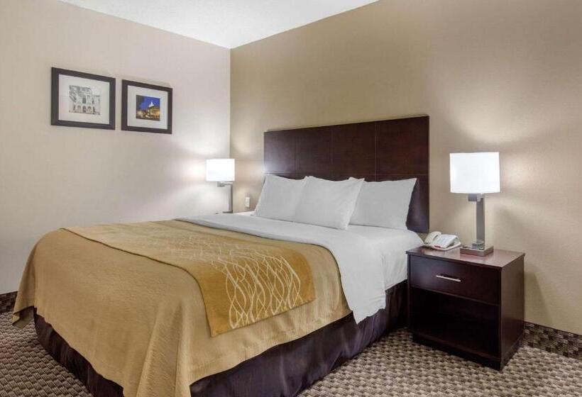 带大床的标准间, Comfort Inn Horn Lake   Southaven