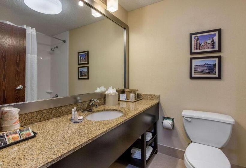 适合残疾人使用的标准间, Comfort Inn Horn Lake   Southaven
