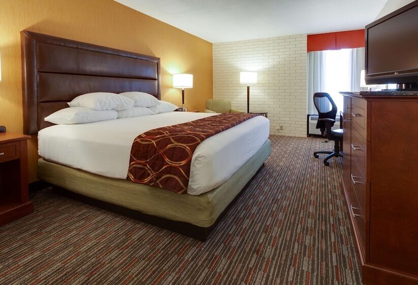 豪华房间, Drury Inn & Suites Denver Tech Center
