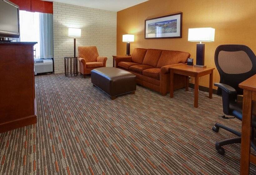 套房, Drury Inn & Suites Denver Tech Center