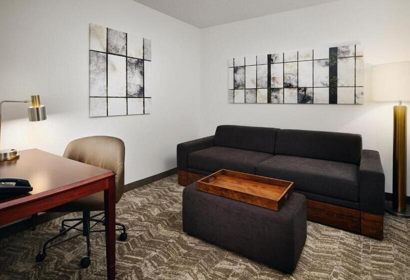 Студио Стандарт Кровать Кинг, Springhill Suites Boulder Longmont