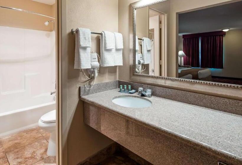 Стандартный Номер Кровать Кинг, Best Western Pine Springs Inn