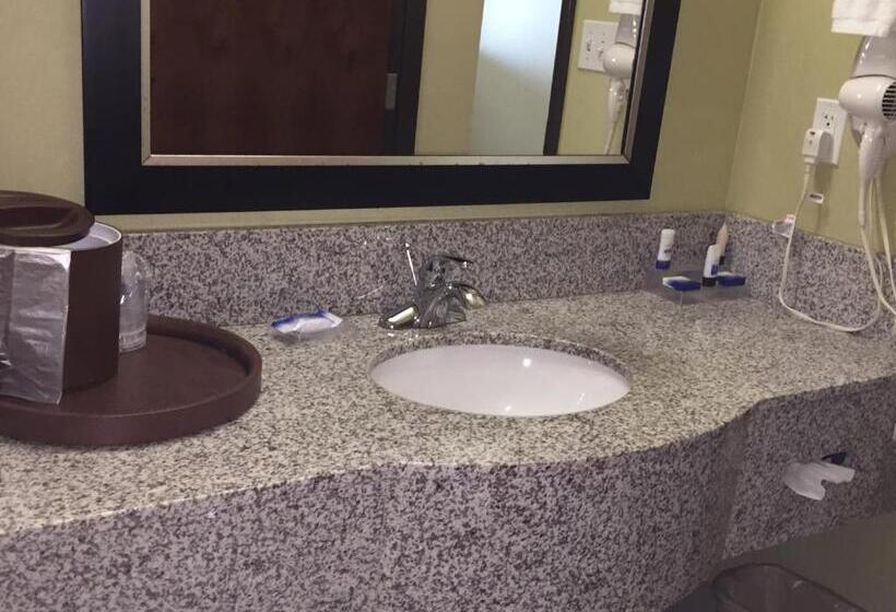 Номер Стандарт, Best Western Plus Desoto Inn & Suites