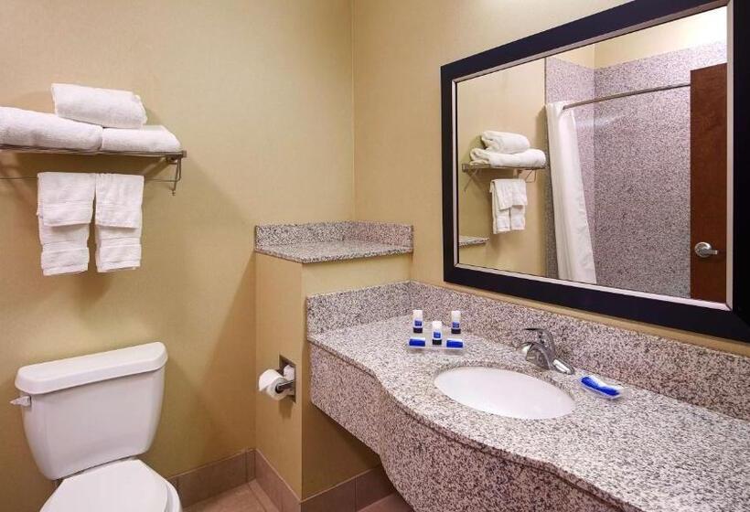 Люкс Кровать Кинг, Best Western Plus Desoto Inn & Suites