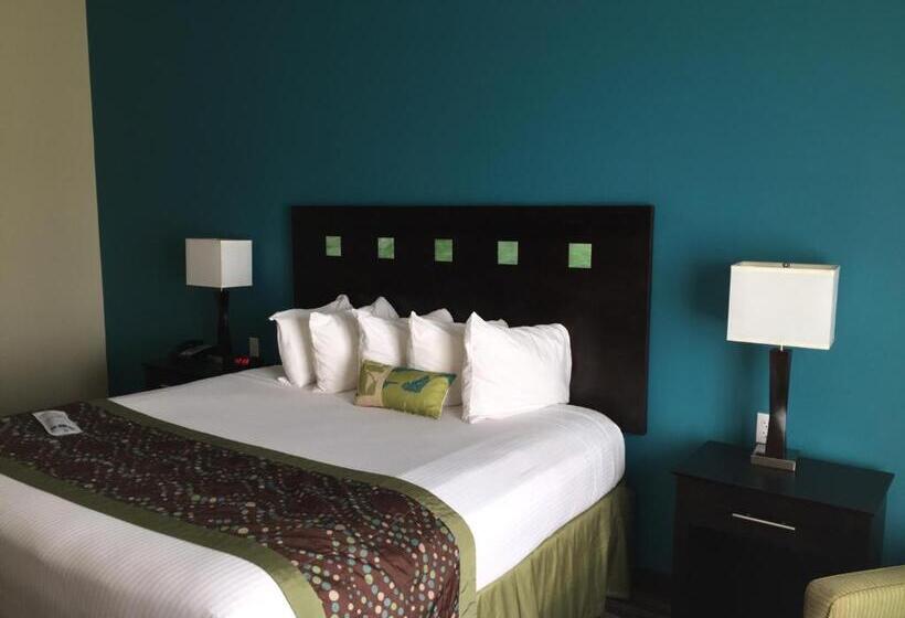 带大床的套房, Best Western Plus Desoto Inn & Suites