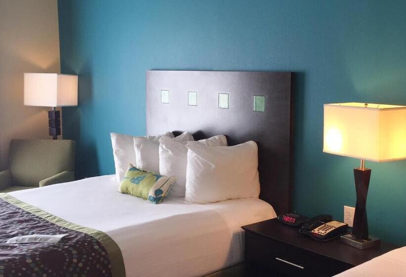 Номер Стандарт Кровать Кинг Адаптированный для Инвалидов, Best Western Plus Desoto Inn & Suites