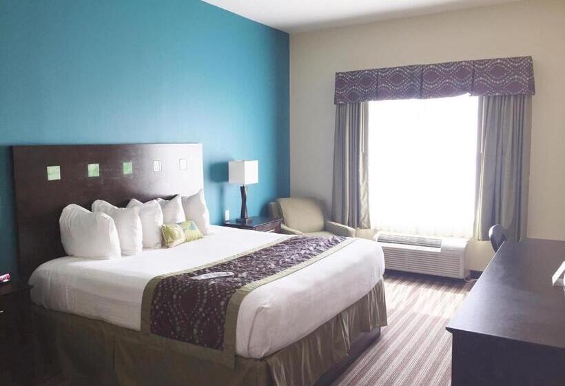 Номер Стандарт Адаптированный для Инвалидов, Best Western Plus Desoto Inn & Suites