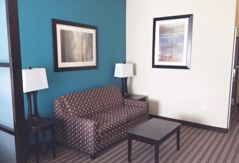 标准间, Best Western Plus Desoto Inn & Suites