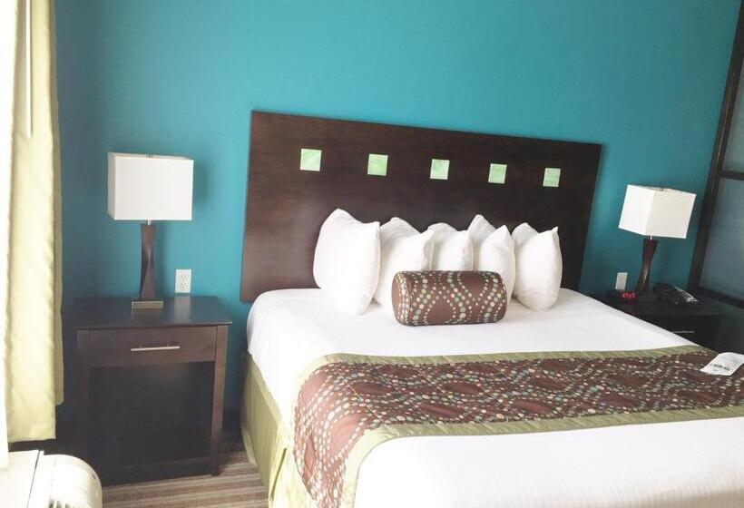 Номер Стандарт, Best Western Plus Desoto Inn & Suites