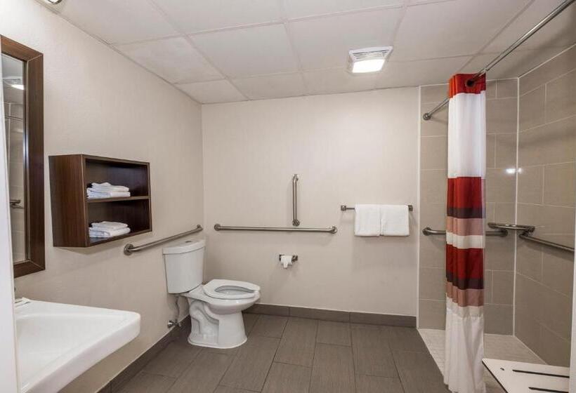 اتاق دلوکس مخصوص معلولین, Red Roof Inn Plus+ Poughkeepsie
