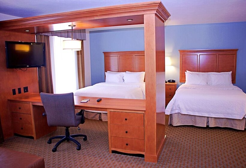 套房, Hampton Inn Sidney Ne