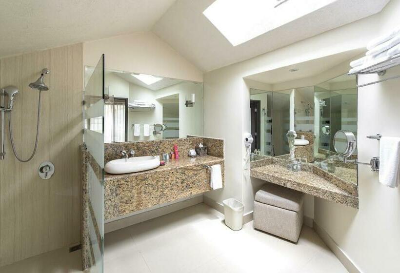 سوییت جونیور, Casa Del Alma Hotel Boutique & Spa