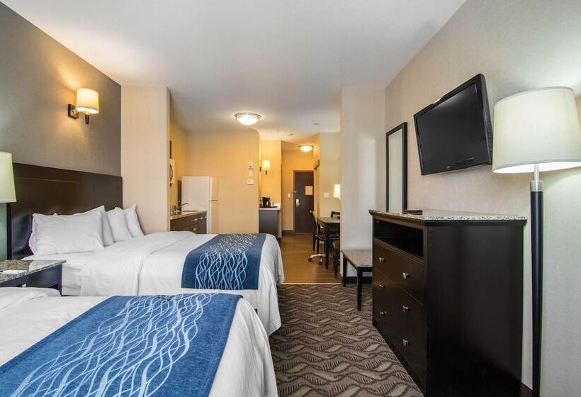 Люкс, Comfort Inn & Suites