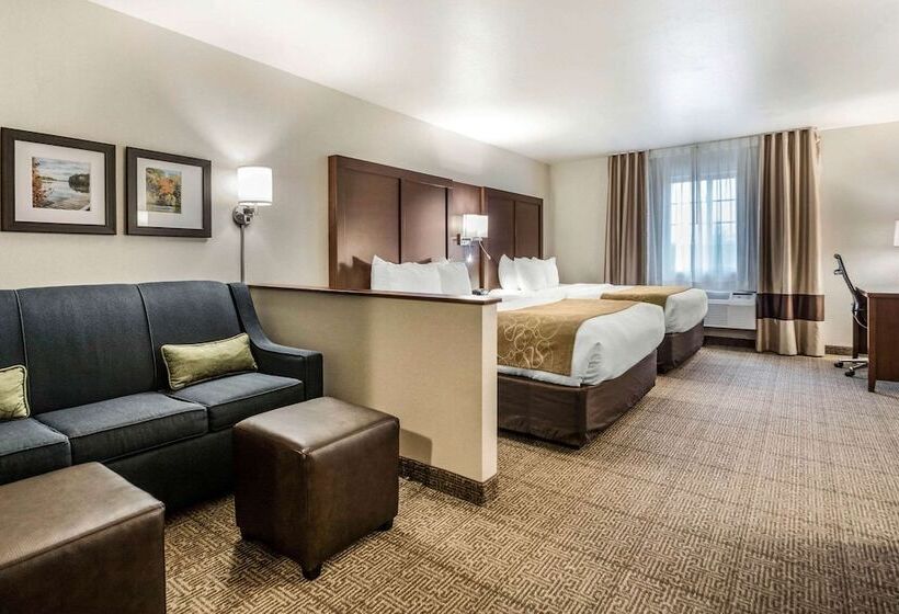 스위트, Comfort Suites At Par 4 Resort