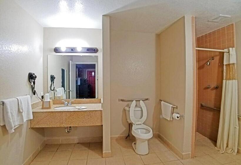اتاق استاندارد با تخت بزرگ برای معلولان, Howard Johnson By Wyndham Houston Hobby