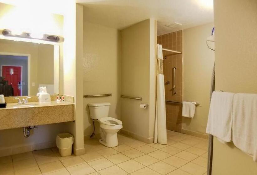 اتاق استاندارد با تخت بزرگ برای معلولان, Howard Johnson By Wyndham Houston Hobby