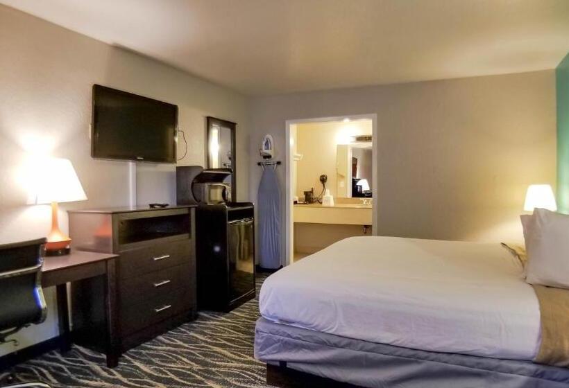 اتاق استاندارد با تخت بزرگ, Howard Johnson By Wyndham Houston Hobby