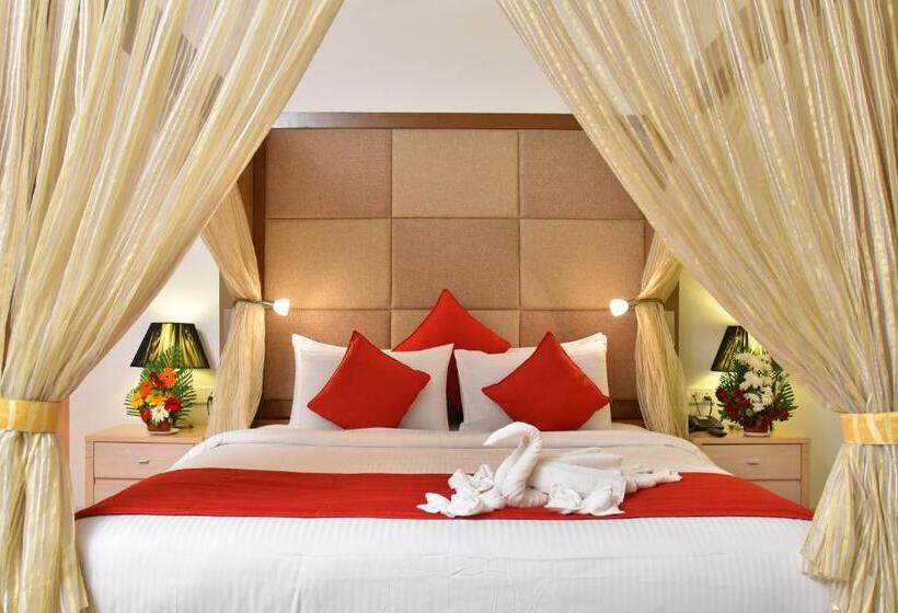 Номер Премиум, Seasons  Rajkot