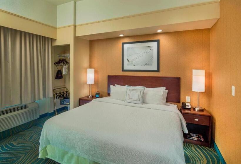 Sviitti King-vuode, Springhill Suites Laredo