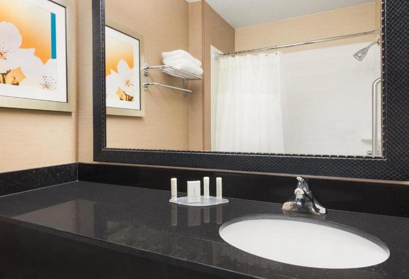 带大床的标准间, Amerivu Inn And Suites