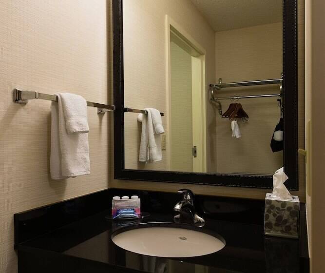 Номер Стандарт 2 Двуспальные Кровати, Fairfield Inn Orangeburg