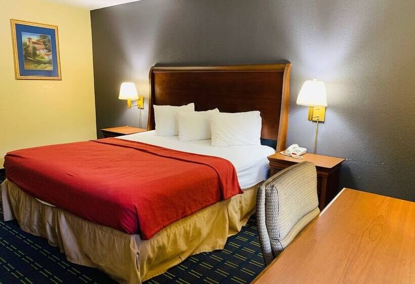 스탠다드 룸 킹사이즈 침대, Value Lodge   Gainesville