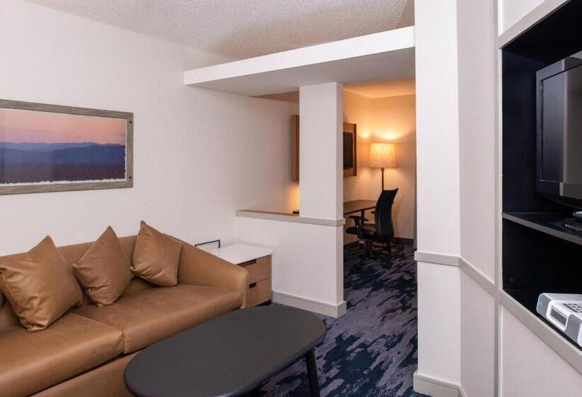 Люкс Кровать Кинг, Fairfield Inn & Suites High Point Archdale