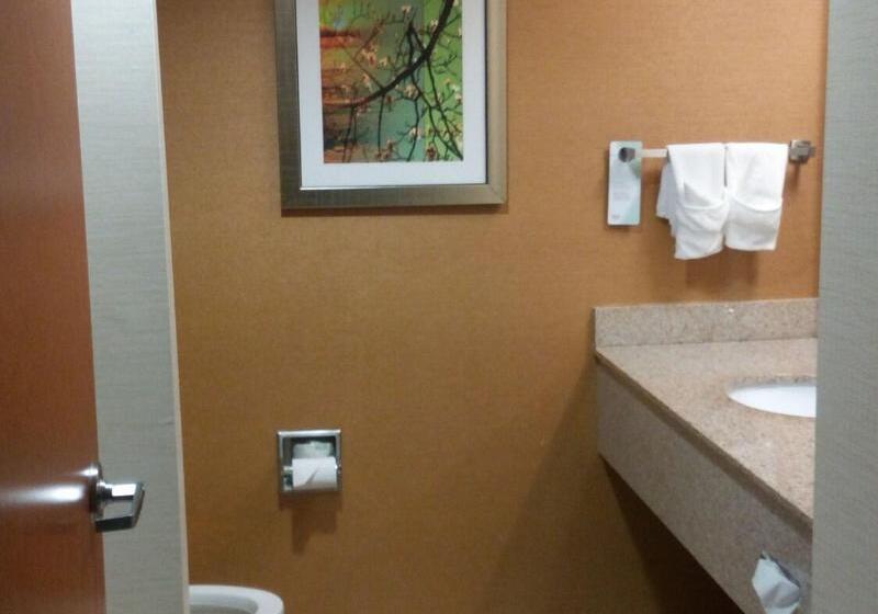 스탠다드 룸 킹사이즈 침대, Fairfield Inn And Suites By Marriott Tifton