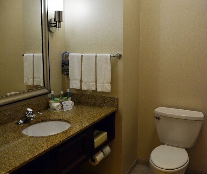 Suíte, Holiday Inn Express & Suites Youngstown West   Austintown By Ihg