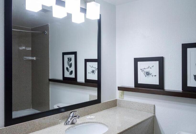 주니어 스위트, Country Inn & Suites By Radisson, Washington, D.c. East  Capitol Heights, Md