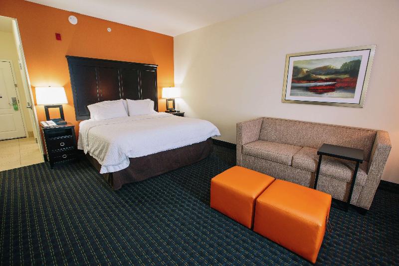 스탠다드 룸 킹사이즈 침대, Hampton Inn & Suites Effingham