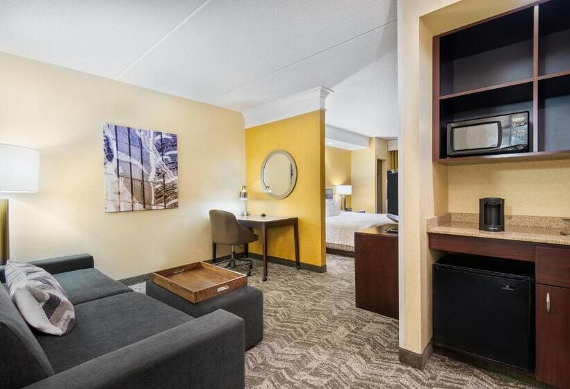 Люкс Кровать Кинг, Springhill Suites By Marriott Wheeling Triadelphia Area