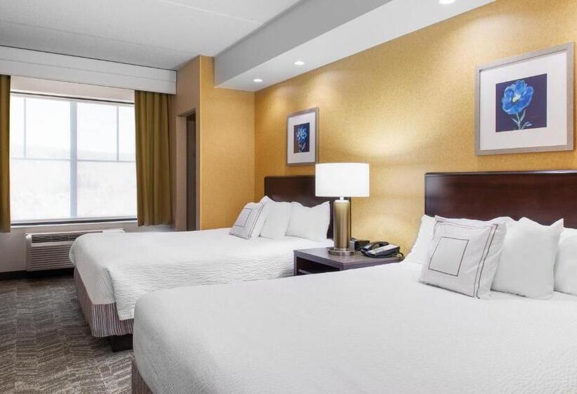 Люкс, Springhill Suites By Marriott Wheeling Triadelphia Area