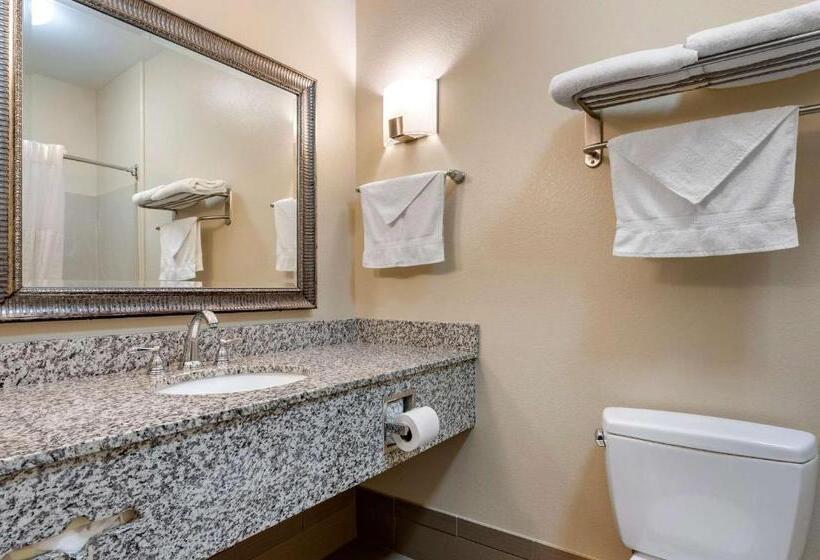 스탠다드 룸 킹사이즈 침대, Comfort Inn Hebronlowell Area
