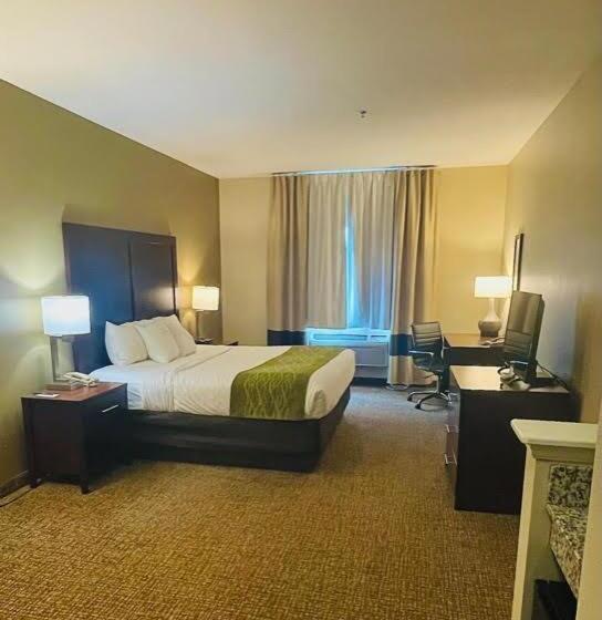 장애인을 위한 킹사이즈 침대 스탠다드 룸, Comfort Inn Hebronlowell Area