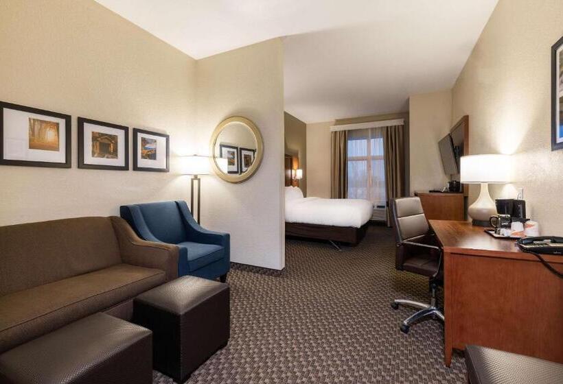 스위트 킹사이즈 침대, Comfort Suites Troyi75